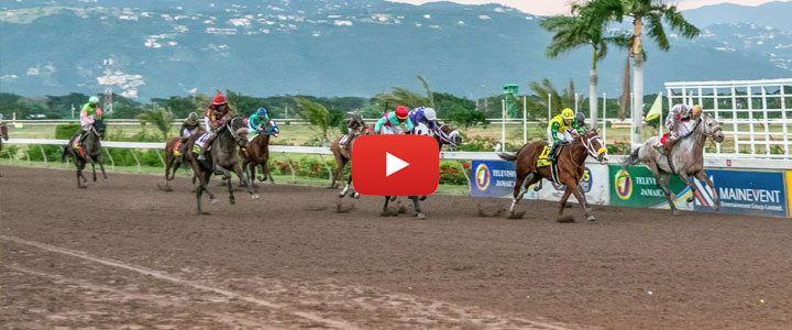 Gulfstream park live discount racing on livestream